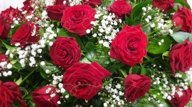 Red Roses Casket Spray