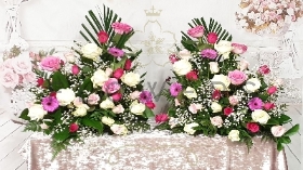 Palki Display Pinks