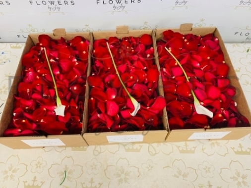 Large Petals Boxes