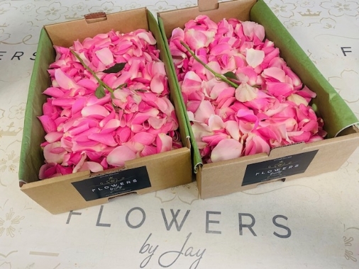 Large Petals Boxes