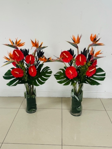 Anthurium & Birds of Paradise Display